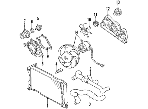 Audi 441-121-101 Lower Hose