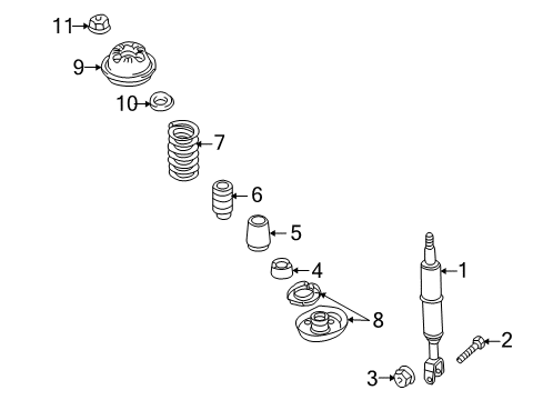 2004 Audi S4 Struts & Components - Front