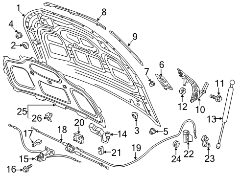 2022 Audi Q5 Hood & Components