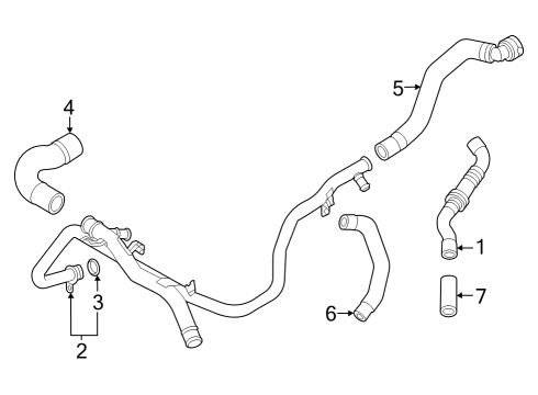 2023 Audi RS3 Hoses, Lines & Pipes