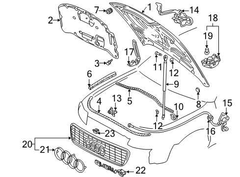 1996 Audi A4 Grille & Components, Hood & Components