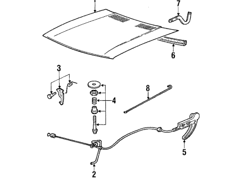 1986 Audi Coupe Hood & Components