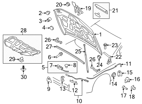 2015 Audi allroad Hood & Components