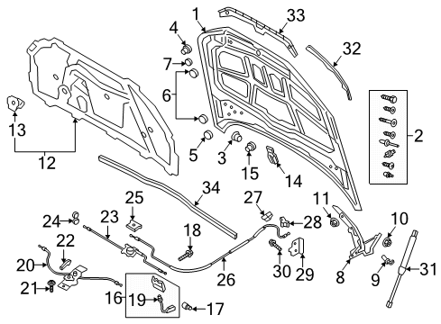 2021 Audi S4 Hood & Components