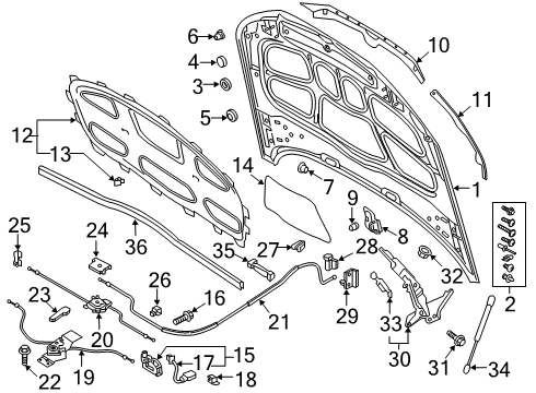 2022 Audi A5 Sportback Hood & Components