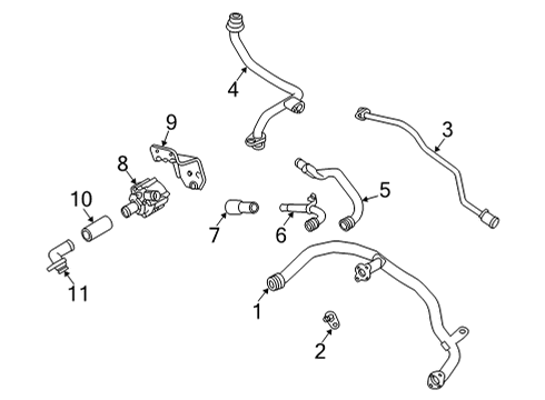 2023 Audi RS Q8 Hoses, Lines & Pipes