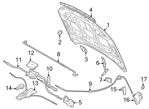 2024 Audi Q4 e-tron Hood & Components