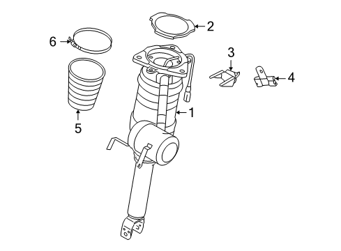 2008 Audi S8 Shocks & Components - Rear