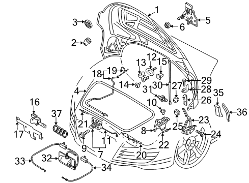 2015 Audi R8 Hood & Components, Exterior Trim