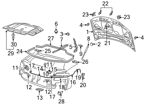 2008 Audi S8 Hood & Components