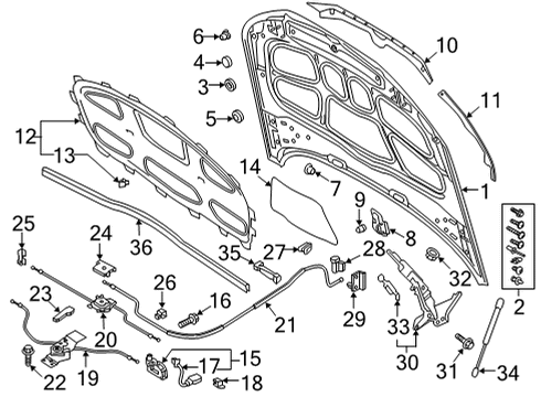 2022 Audi RS5 Hood & Components