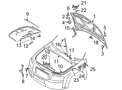 2004 Audi S4 Hood & Components