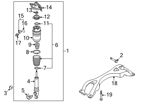 2009 Audi Q7 Shocks & Components - Rear