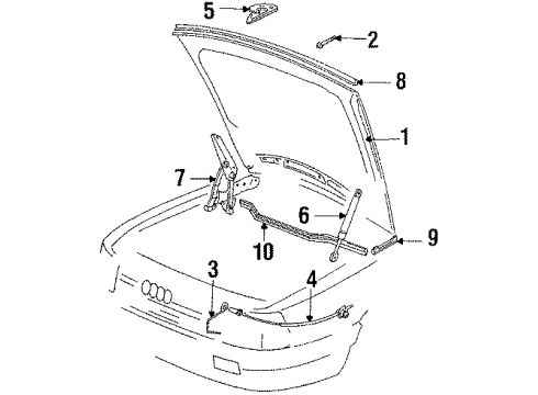 1986 Audi 5000 Quattro Hood & Components