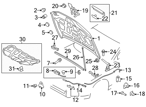 2014 Audi A4 Hood & Components