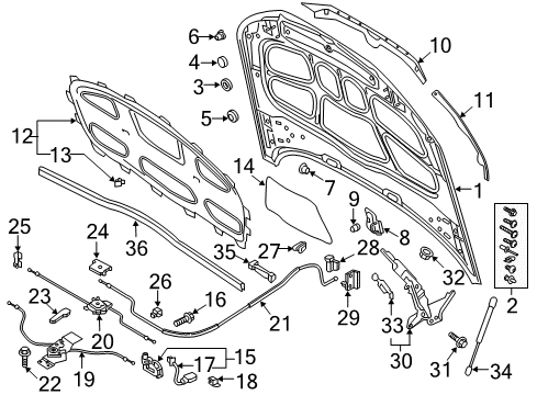 2020 Audi S5 Hood & Components, Body Diagram 2