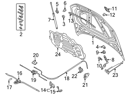 2024 Audi A3 Hood & Components