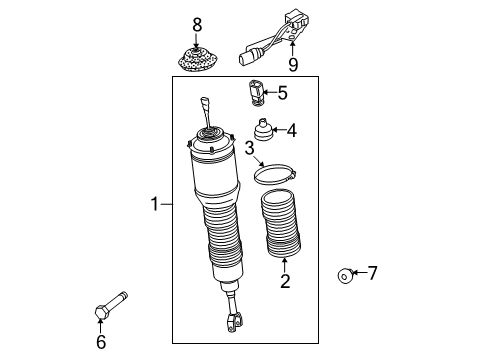 2008 Audi S8 Shocks & Components - Front