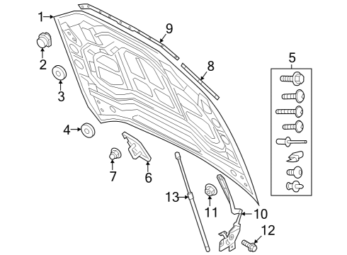 2024 Audi Q8 e-tron Hood & Components