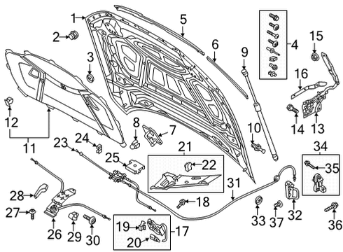 2021 Audi RS6 Avant Hood & Components