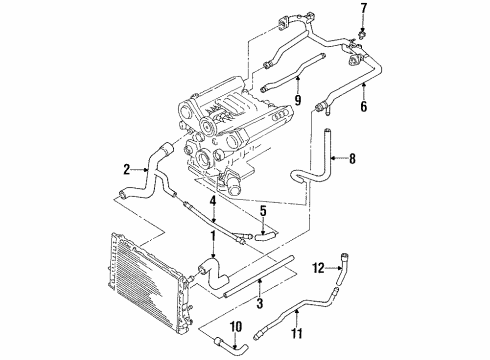 1998 Audi Cabriolet Radiator Hoses