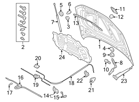 2023 Audi RS3 Hood & Components