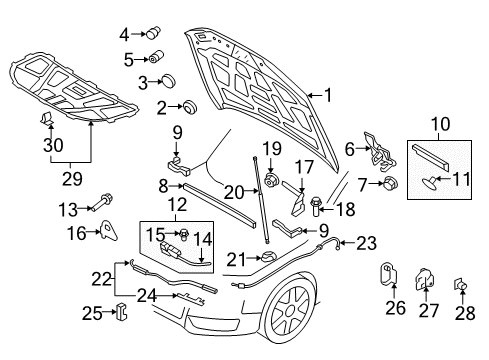 2010 Audi Q5 Hood & Components