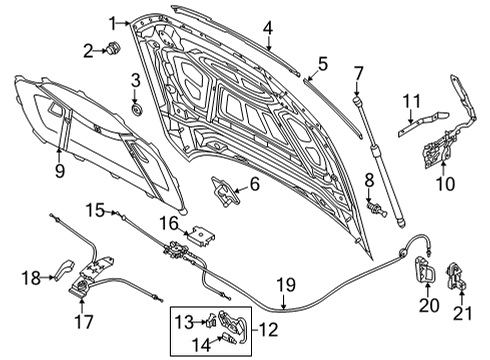 2022 Audi RS7 Sportback Hood & Components