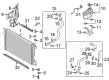 Diagram for Audi A5 Quattro Coolant Pipe - 8W0-121-081-EE