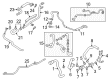 Diagram for Audi A4 allroad Radiator Hose - 8W0-122-073-F