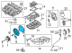 Diagram for Audi A3 Quattro Timing Cover - 06Q-103-269-D