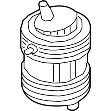 Audi Air Suspension Spring - 4M0-616-001-AM