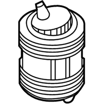 Audi Air Suspension Spring - 80A-616-002-G