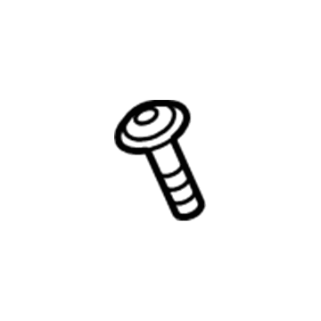 Audi Door Screws - N-106-258-02