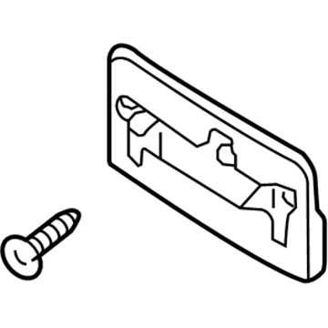 Audi License Plate - 8E0-807-285-B-3FZ