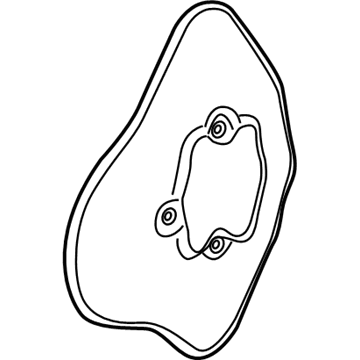 Audi R8 Brake Dust Shield - 420-407-721-A