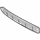 Audi 4E0-807-667-A-3FZ Center Grille