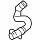 Audi 8E0-121-055-E Lower Hose