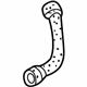 Audi 8D0-121-055-E Lower Hose