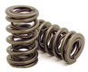 Audi Valve Spring